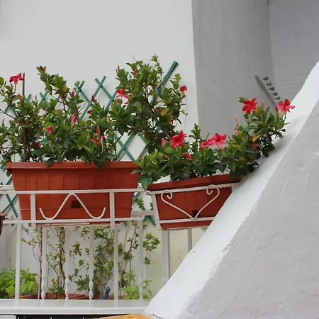 Nonna Raffa * Amalfi