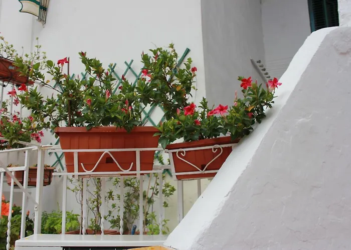 Nonna Raffa * Amalfi