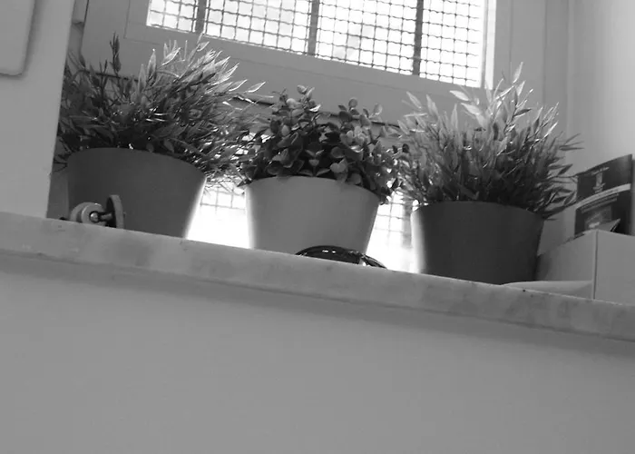 公寓 卡萨瓦坎兹诺娜拉法公寓